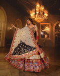 Navratri Nights Lehenga Choli