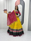 Meherika Riyon Cotton Embroidery Lace Lehenga Choli